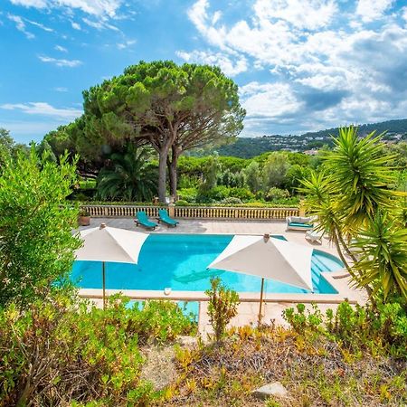 Bed and Breakfast Paradis Provencal à Sainte-Maxime Extérieur photo