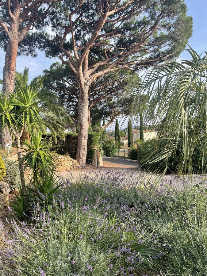 Bed and Breakfast Paradis Provencal à Sainte-Maxime Extérieur photo